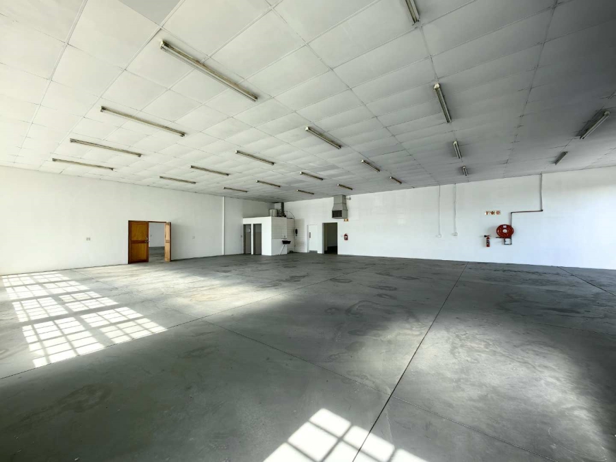 To Let commercial Property for Rent in University Estate Western Cape